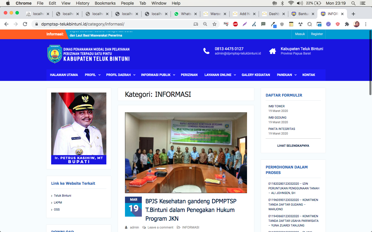 jual website dpmptsp